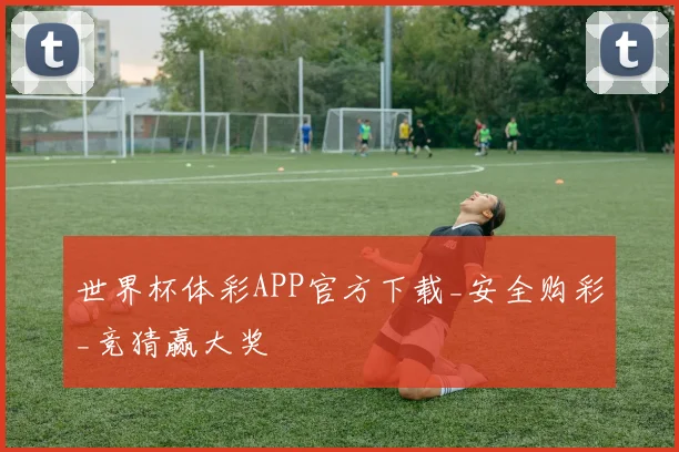 世界杯体彩APP官方下载_安全购彩_竞猜赢大奖
