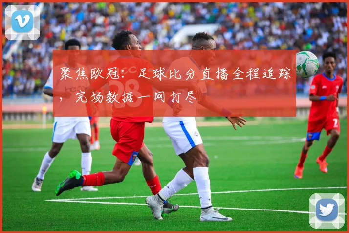 聚焦欧冠：足球比分直播全程追踪，完场数据一网打尽