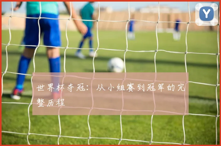世界杯夺冠：从小组赛到冠军的完整历程