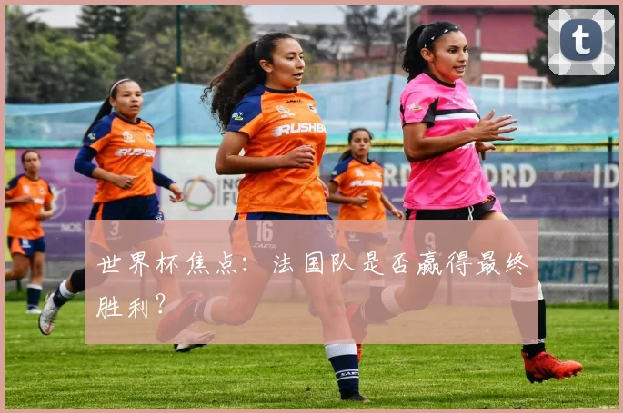 世界杯焦点：法国队是否赢得最终胜利？