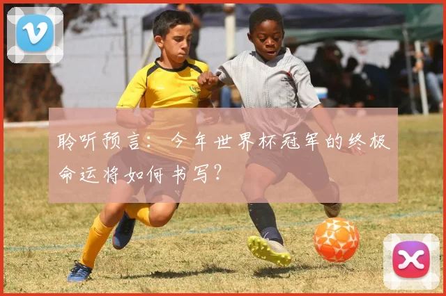 聆听预言：今年世界杯冠军的终极命运将如何书写？