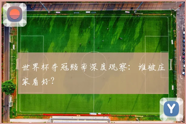 世界杯夺冠赔率深度观察：谁被庄家看好？