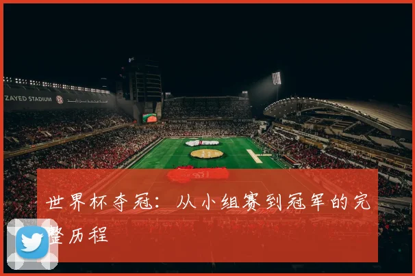 世界杯夺冠：从小组赛到冠军的完整历程