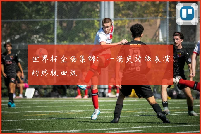 世界杯全场集锦：一场史诗级表演的终极回放